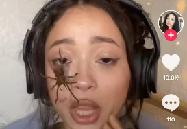 Spider crawling on face filter | Twitter New Effect