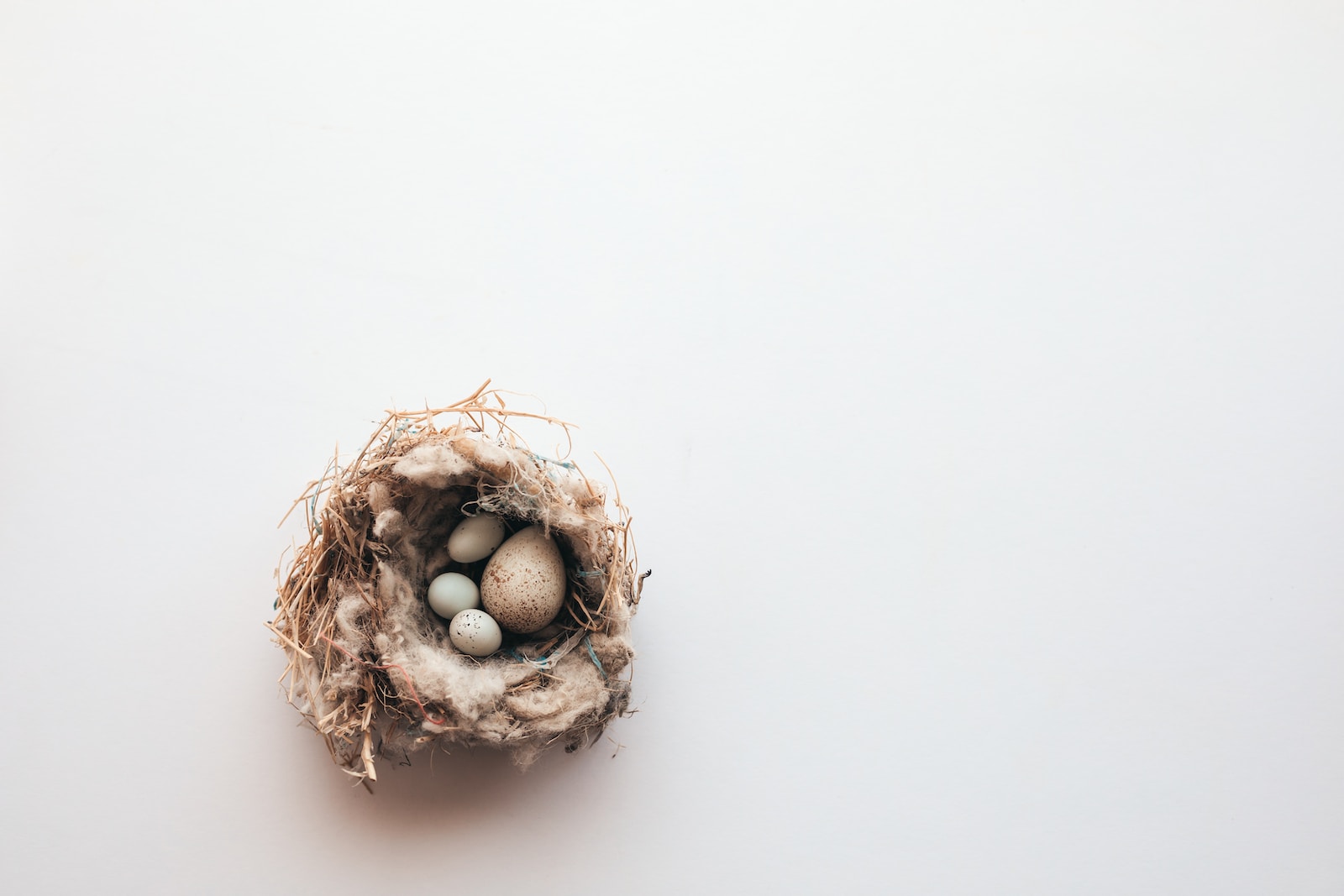 a bird's nest with three eggs in it